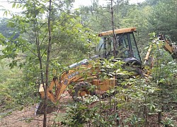 BC Carpentry - Jobsite Breaking New Ground